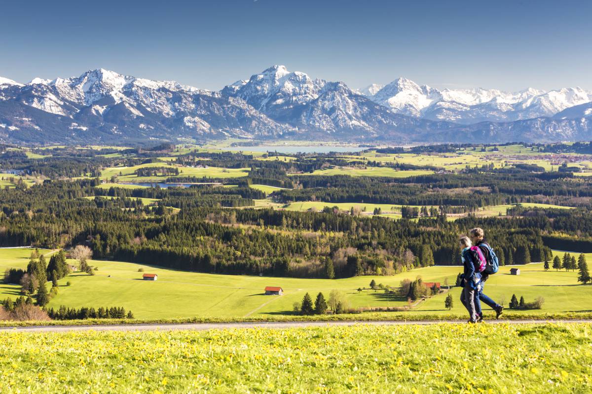 Wandern vor Bergkulisse im Allgäu