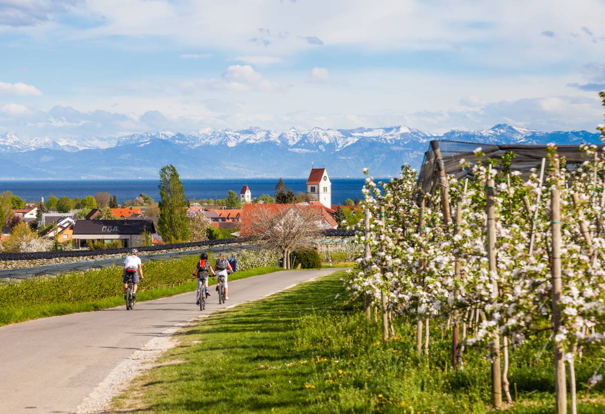 Fahrrad fahren am Bodensee